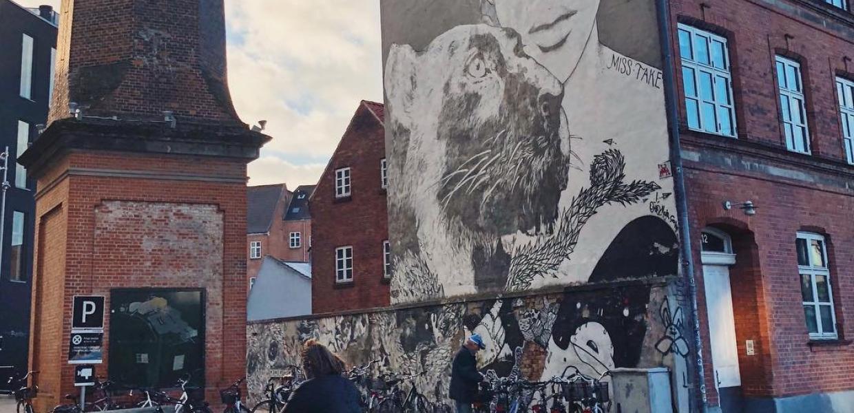 Person cycling past street art in Odense, on Fyn